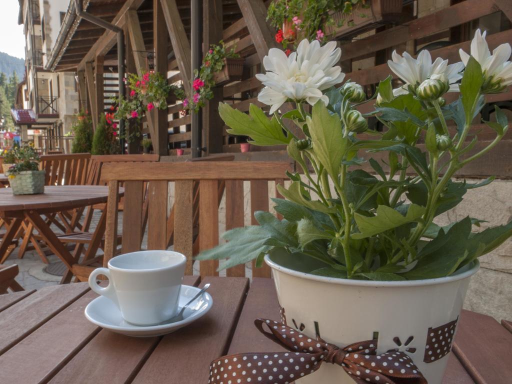 Green Life Family Apartments Παμπόροβο Εξωτερικό φωτογραφία